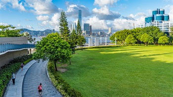 在草地放眼眺望，能欣赏以大树衬托的维港景色。